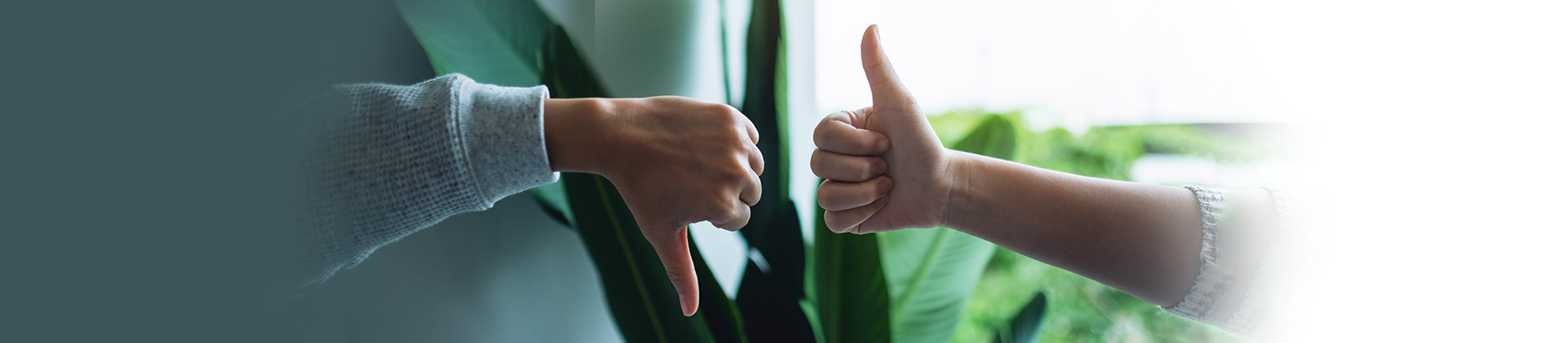 Cookie Policy Banner